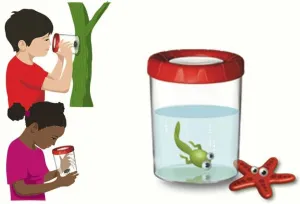 Банка для насекомых Navir «Мега» с лупой 3x и жуком, изображение 6