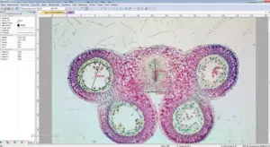 Видеоокуляр ToupCam 5,2 Мпикс (SCMOS05000KPA), изображение 2
