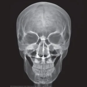 Набор 4M 00-03375 «Юный врач. Скелет человека», изображение 10