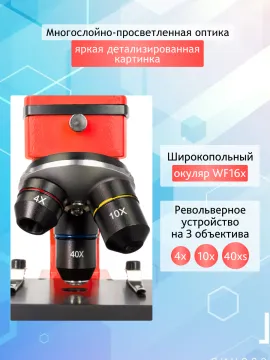 Микроскоп Levenhuk Rainbow 2L PLUS, изображение 17