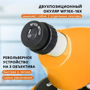 Микроскоп Levenhuk Discovery Micro с книгой, изображение 21