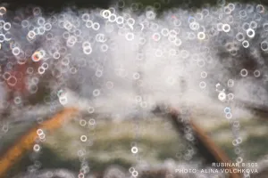 Объектив фотографический МС Рубинар 8/500 Макро, изображение 7